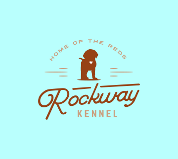 Custom logo design example