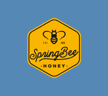 Custom logo design example